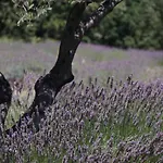 Nyaraló Les Nefliers Céreste