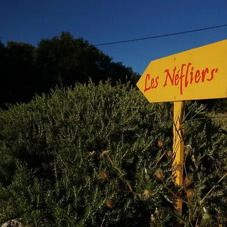Les Nefliers