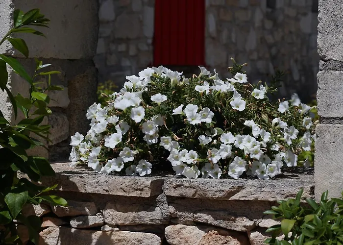 Holiday home Les Nefliers