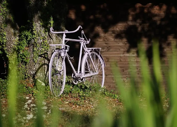 Les Nefliers Céreste