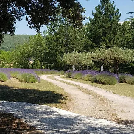 Les Nefliers Céreste