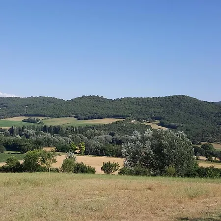 Les Nefliers
