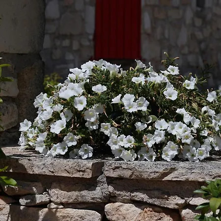 Ferienhaus Les Nefliers