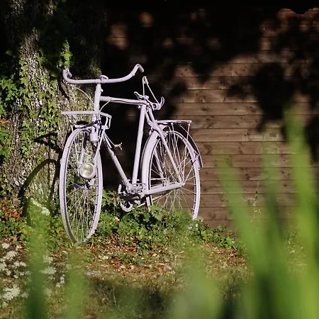 Les Nefliers Céreste