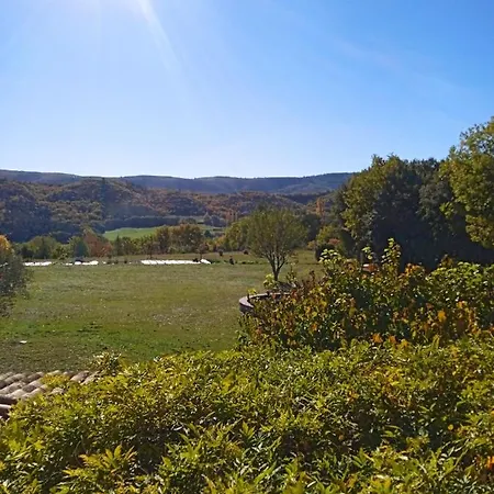 Les Nefliers * Céreste