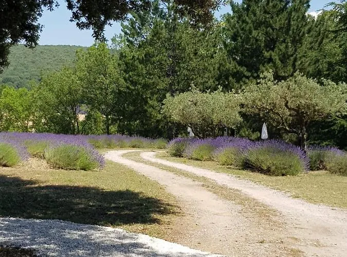 Les Néfliers Céreste